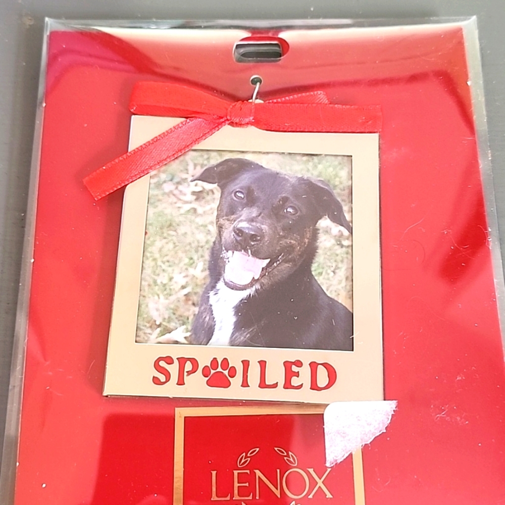 Lenox Spoiled Paw Print pet Christmas Ornament Frame.